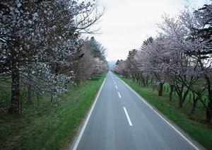 事故を起こしてしまうと対応が不安です